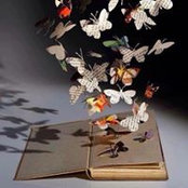 Iuliana Dascalu's photo