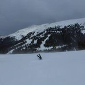 Daniella Kahn's photo