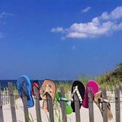 Joan Young's photo
