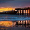 Sally Head's photo