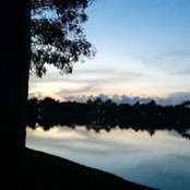 Anna Georbensen's photo