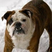 Jamie Etters's photo