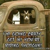 Donna Smith's photo