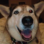 Nadine Budd's photo
