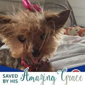 Michelle Slove's photo