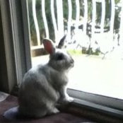 Lisa Harder's photo