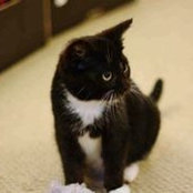 L.s. Murphy's photo