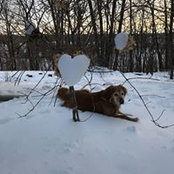 Denise Funke's photo