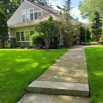 Design around existing trees