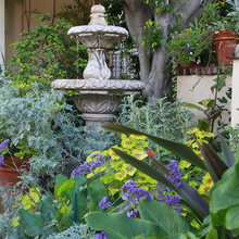 Fountain Garden