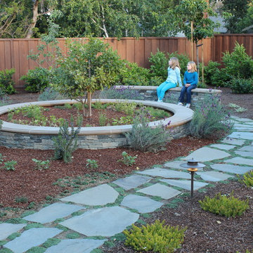 Veggie Beds