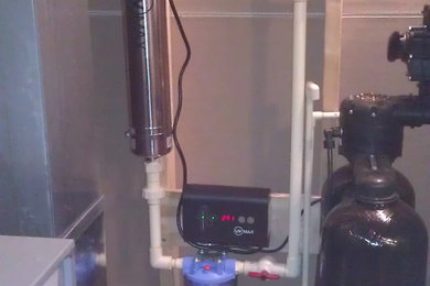 Whole House Treatment