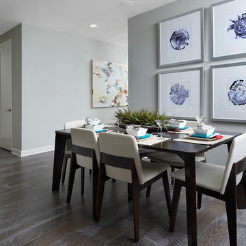 Onyx model home in Colorado