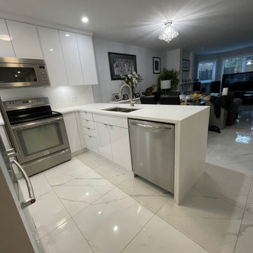 Vancouver Condo Renovation