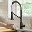 Bolden Commercial Pull-Down 1-Handle Kitchen Filter Faucet, 3-Function, MB