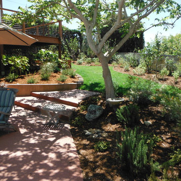 Pool Landscape Makover