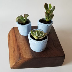 Live Edge Succulent Planters - Plate Stands And Hangers