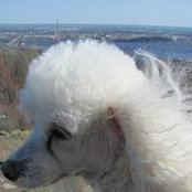 Mary Mcelroy's photo