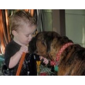 Donna Johnston_Vlasin's photo