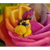 Cindy Patterson's photo