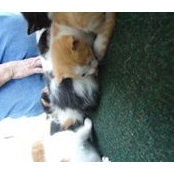 Jean Wenig's photo
