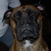 Nicole Caccio-Veltri's photo