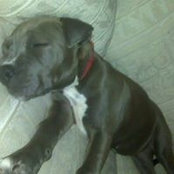 Gregory Owens's photo