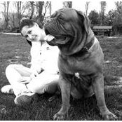 Bongo Dogue de Bordeaux's photo