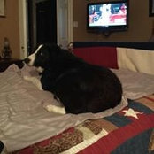 Susan Fauss's photo