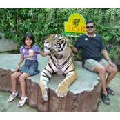 Manmohan Agarwal's photo