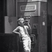 Tom Zomerfeld's photo