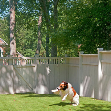 Animal fences