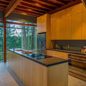 Shaw Island NW Timber