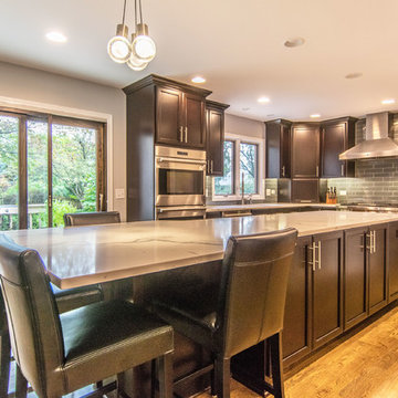 Modern Showcase Kitchen Remodel