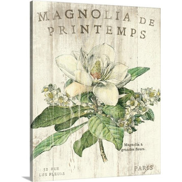 "Magnolia de Printemps" Canvas Art, 16"x20"x1.25"