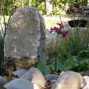 Teichpflanzung Privatgarten