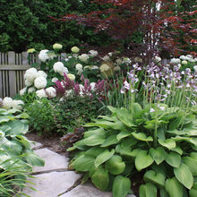 cottage garden