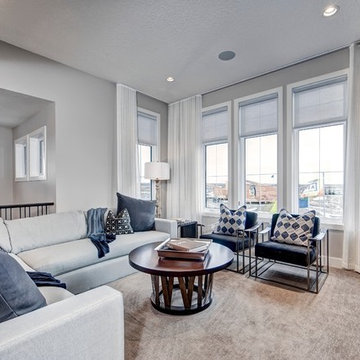 The Brio Showhome in Harmony