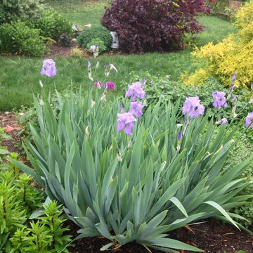 Garden Design