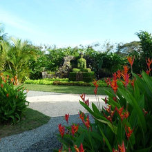 GARDEN : tropical