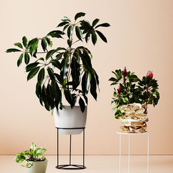 Prism Plant Stand | Ivy Muse - Plant Stands And Telephone Tables