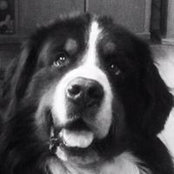 Arlene Wilson-Ritter's photo
