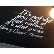 Allie Payne's photo