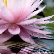 Peggy Chubb's photo