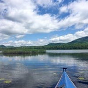 Michelle Young's photo