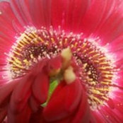 Amanda Works's photo