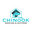 Chinook Roofing