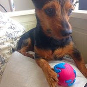 Nicole Banick's photo