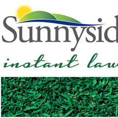 Sunnyside Instant Lawn