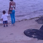 Krystal Winfield's photo